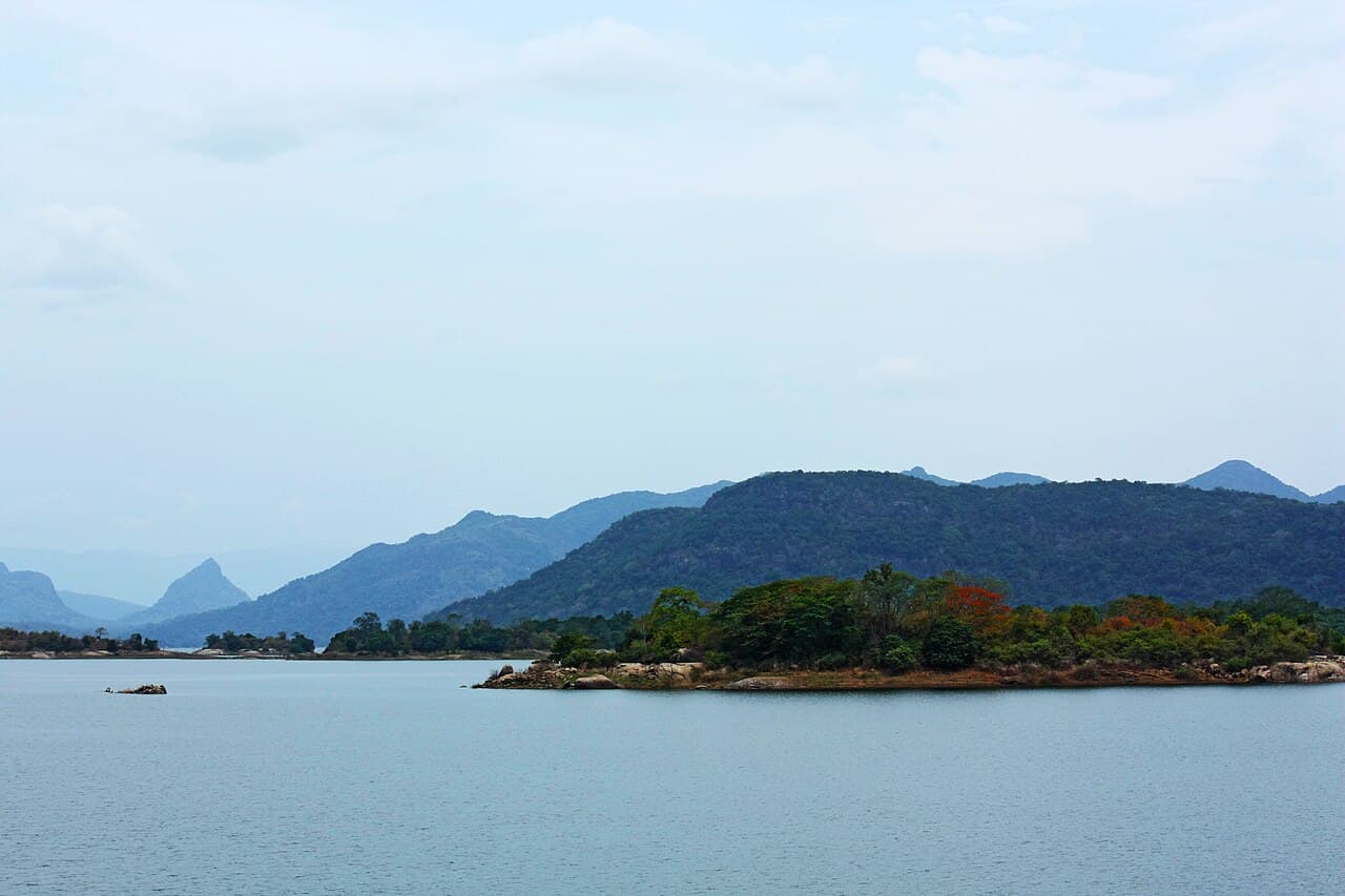 Gal Oya National Park: The Only Place to Witness Wild Swimming Elephants (2026)